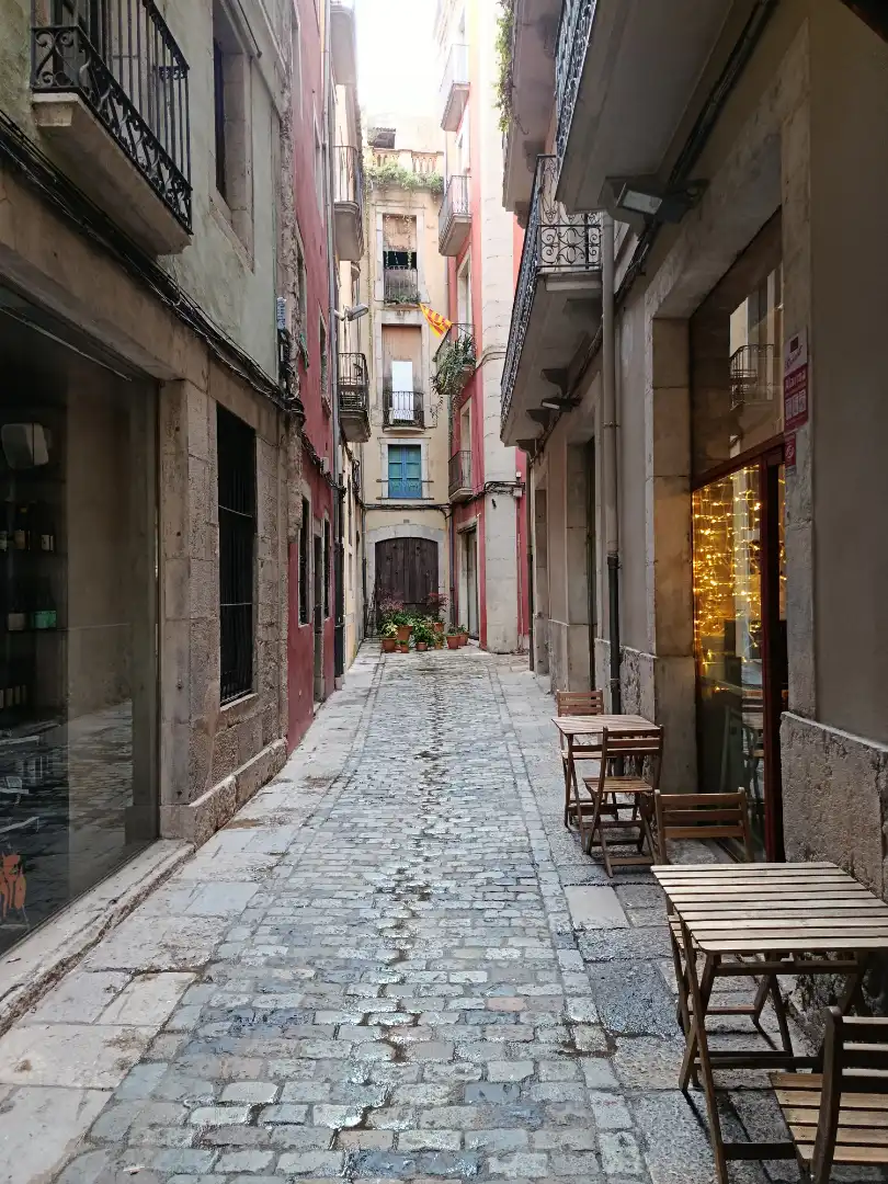 Vista exterior de Dúplex en venta en Girona con Aire acondicionado, Calefacción y Parquet