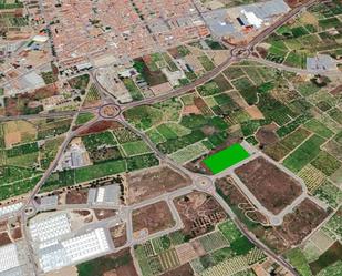 Land for sale in Senyera