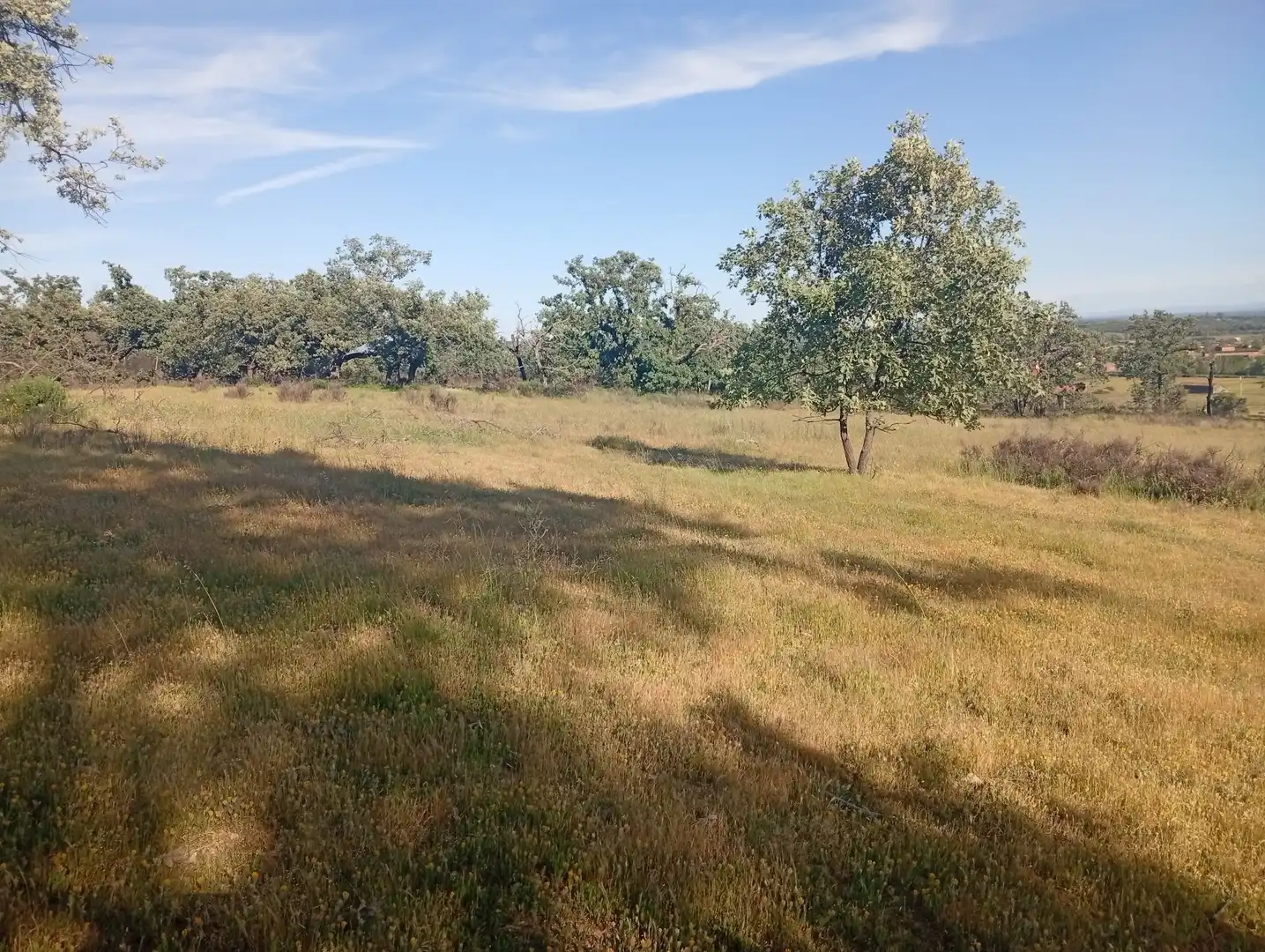 Terreni e lotti in vendita a Villanueva de la Vera, imagen 51
