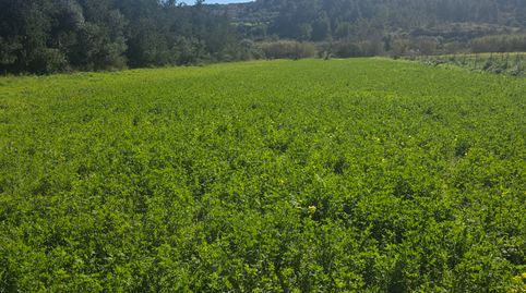 Photo 4 of Land for sale in Camí de Bendrís, 8, Manacor Centre, Manacor