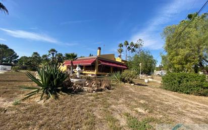 Vista exterior de Casa o xalet en venda en Elche / Elx amb Piscina