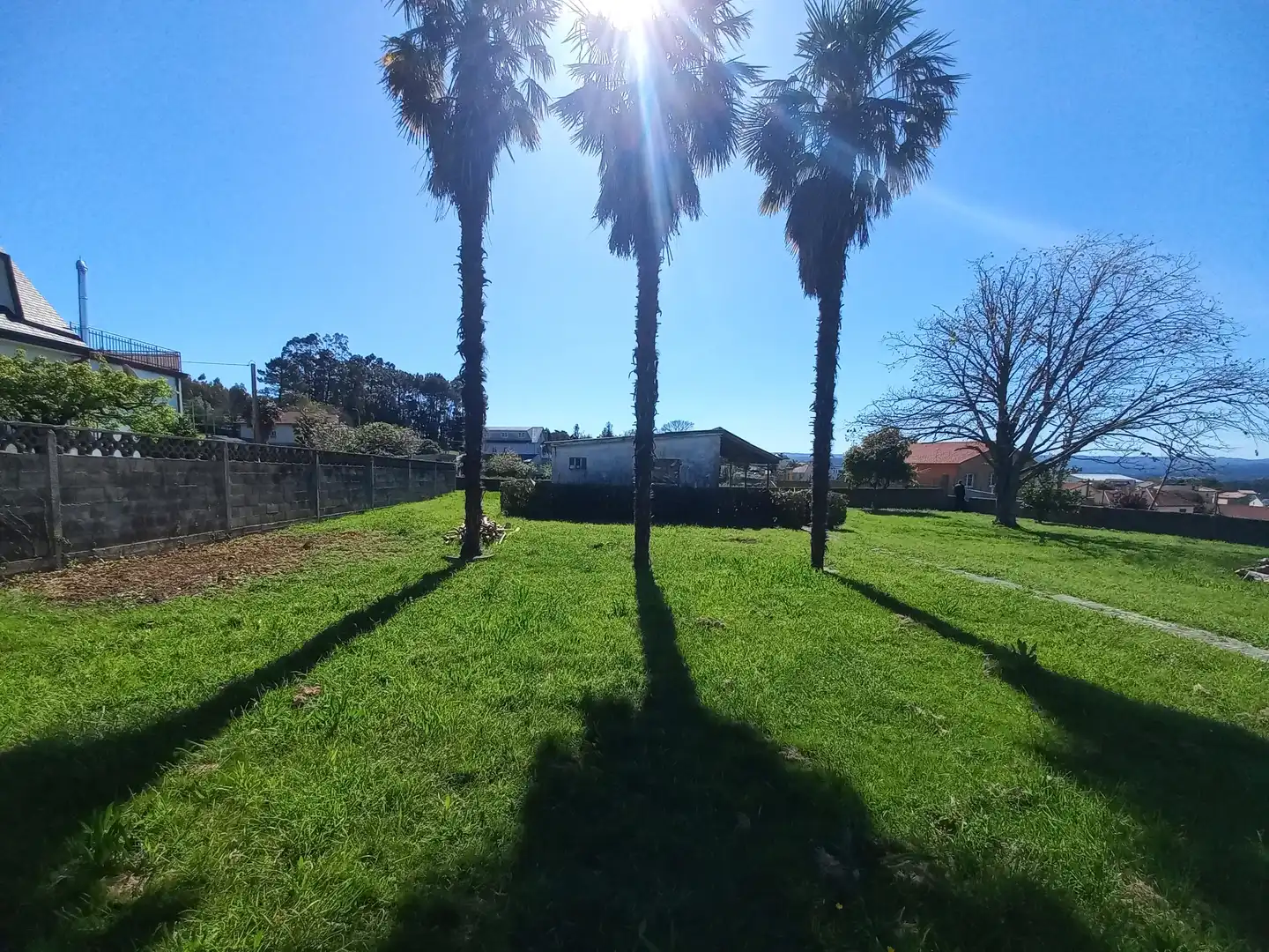 Casa o chalet en venta en Bergondo con Jardín privado