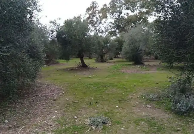 Terreno rustico in vendita a C/ Fuente Azahara, imagen 7