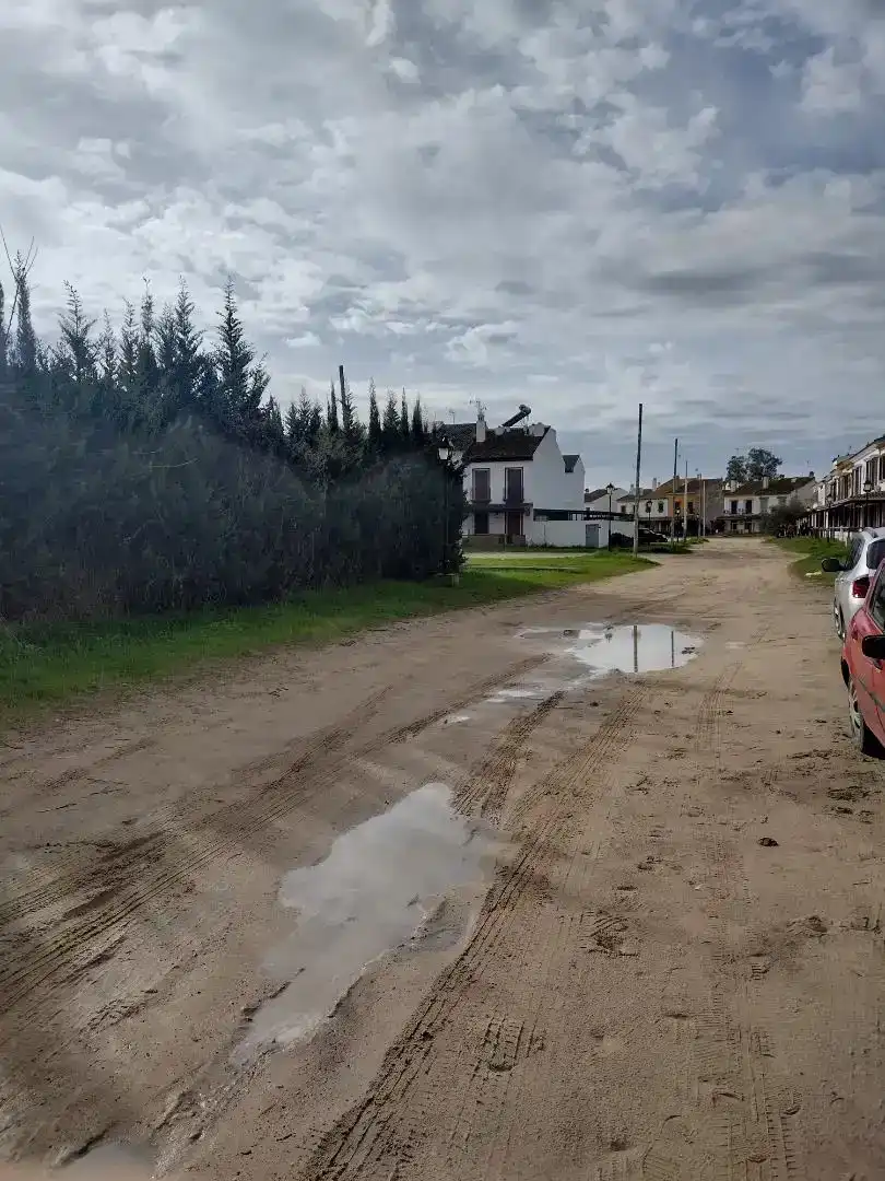 Estudio en venta en Almonte con Aire acondicionado, Jardín privado y Amueblado