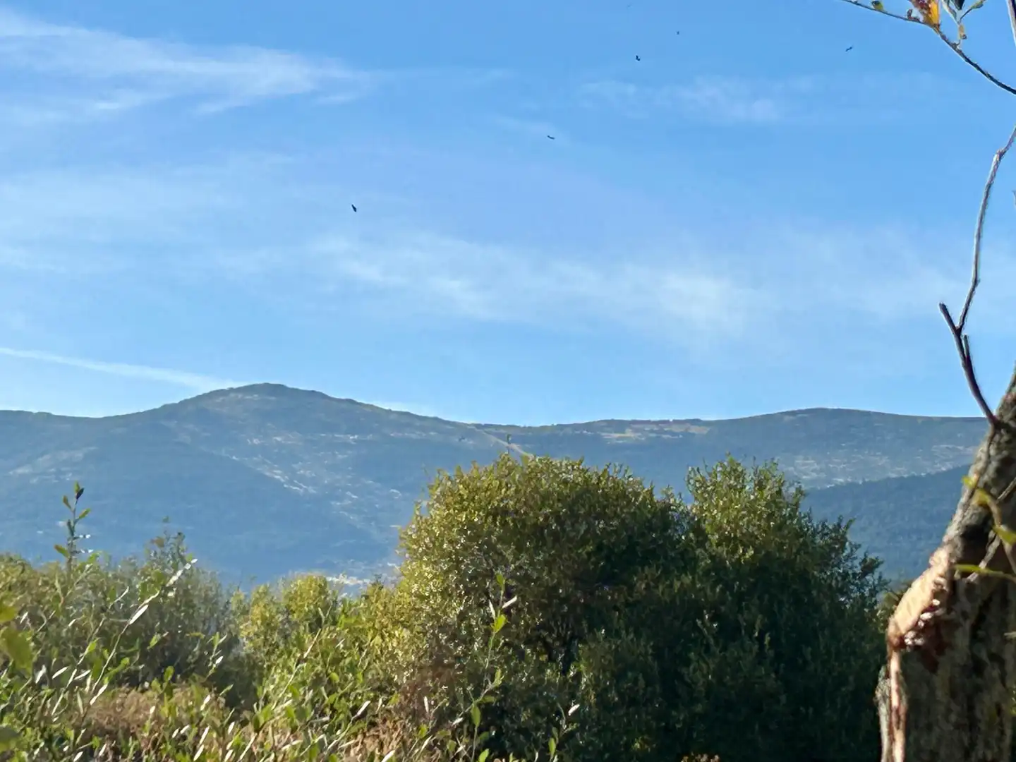 Terreni e lotti in vendita a La Losa, imagen 12