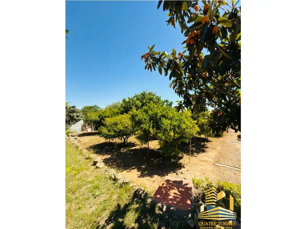 Houses for sale in Riba-roja de Túria