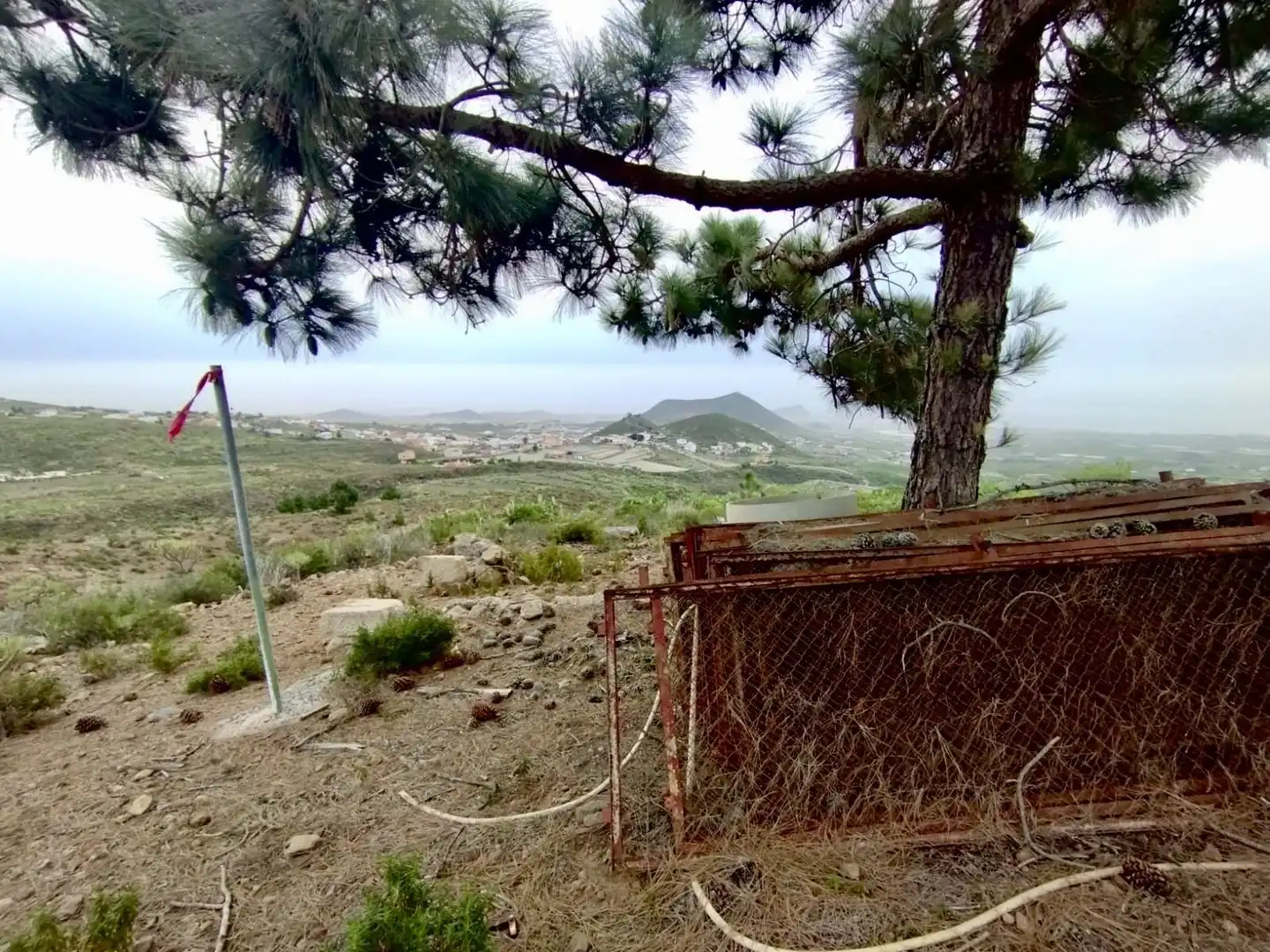 Vista exterior de Finca rústica en venta en Granadilla de Abona
