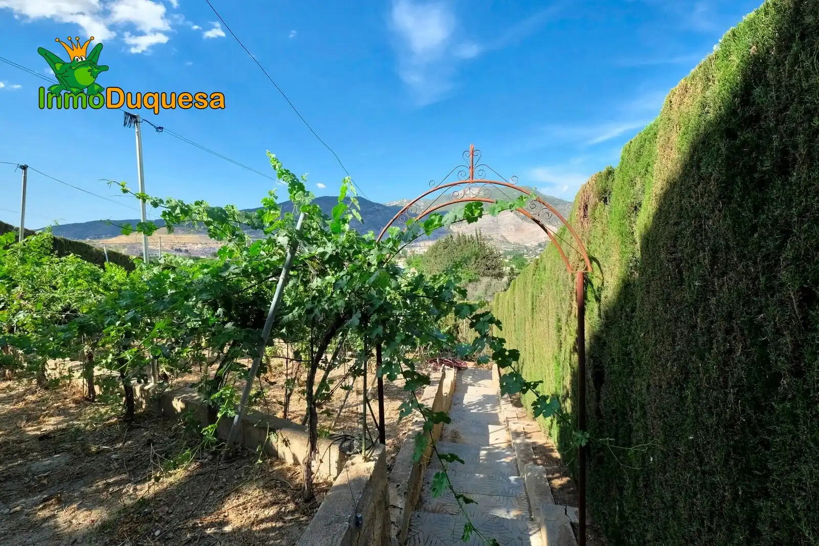 Chalet con piscina en venta en Padul, imagen 26