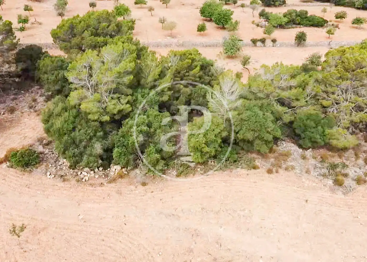 Terreno residenziale in vendita a Cami de.'s Presos, imagen 35