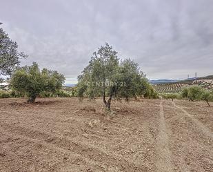 Land for sale in Nívar