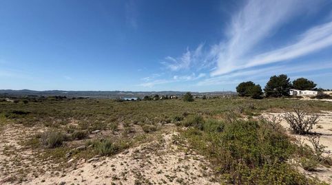 Foto 2 de Residencial en venta en N/a, -1, Desamparados - Hurchillo - Torremendo, Orihuela