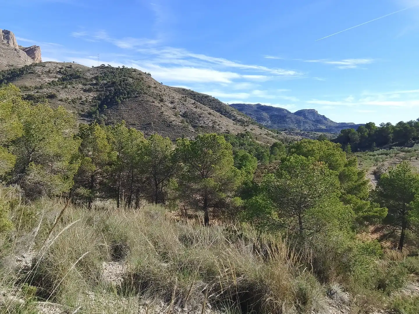 Terreno rustico in vendita a Carrer la Creu, imagen 39