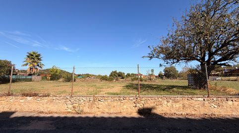 BAIX EMPORDÀ, FORALLAC, VULPELLAC, SOLAR, immagine 2