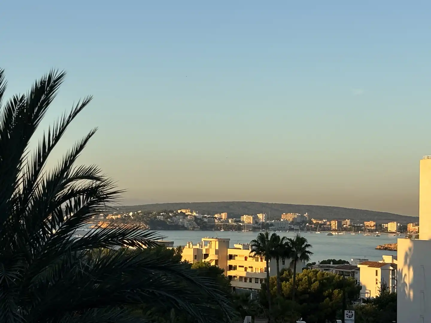 Exterior view of Flat for rent in Calvià  with Private garden, Terrace and Swimming Pool