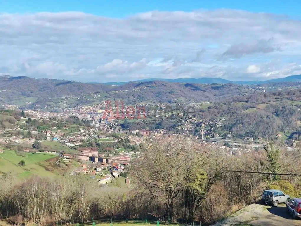 Exterior view of Houses for sale in Langreo  with Private garden and Terrace