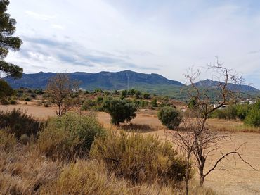 Terreno rustico in vendita a Carretera Tortosa 3