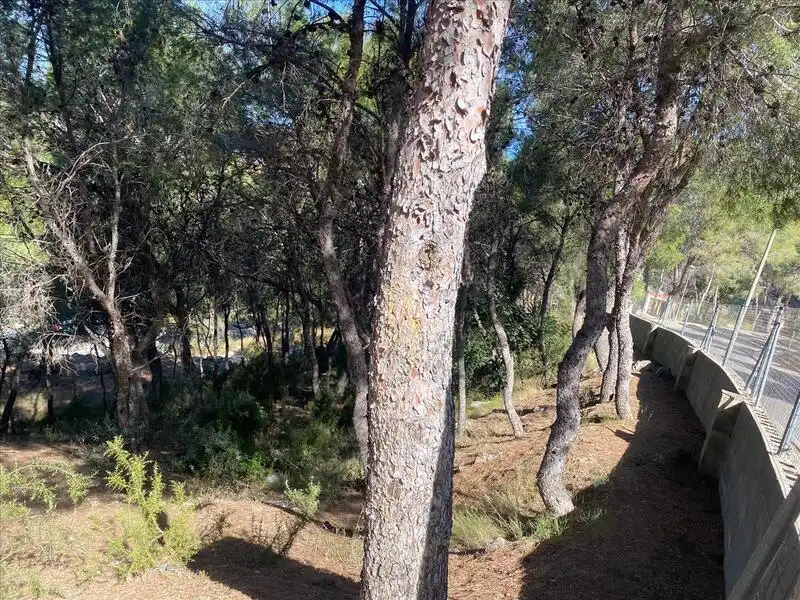 Wohnbaugrundstück zum Verkauf in Urb. EL BOSQUE, parcela, 286, imagen 20