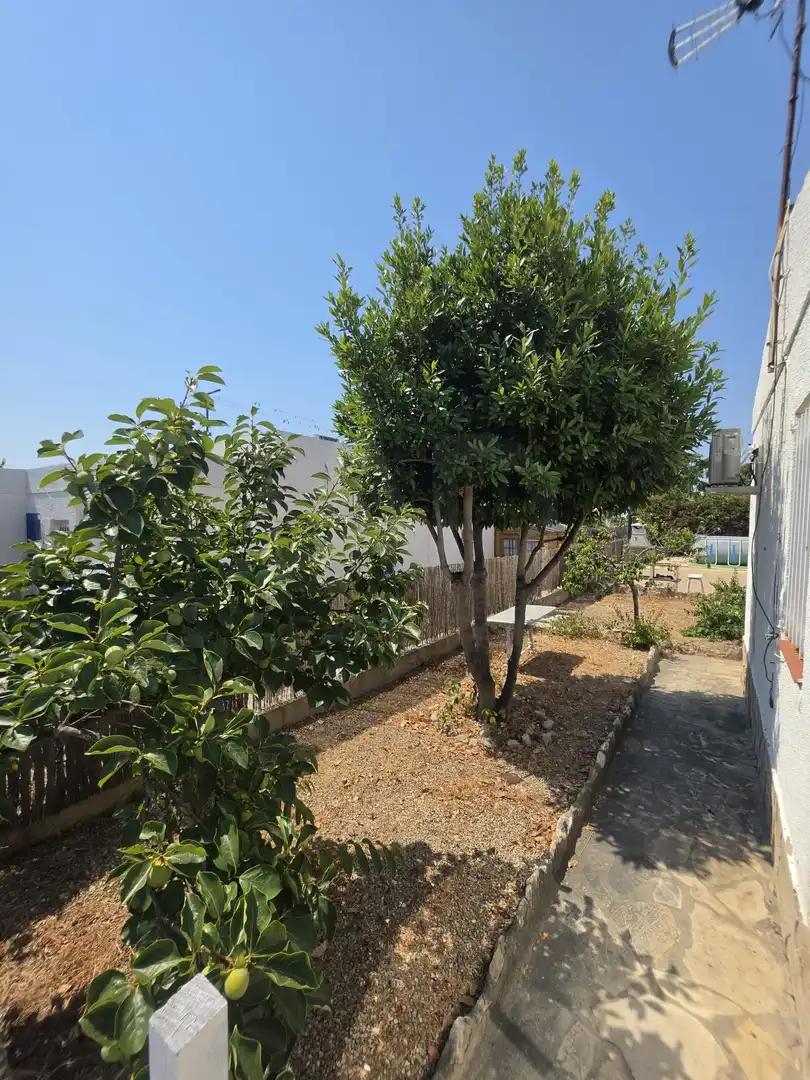 Villa à vendre à Calafat, imagen 32