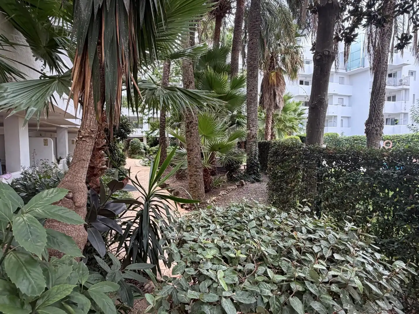 Appartement compact avec piscine à vendre à PORT JOAN 2, imagen 22