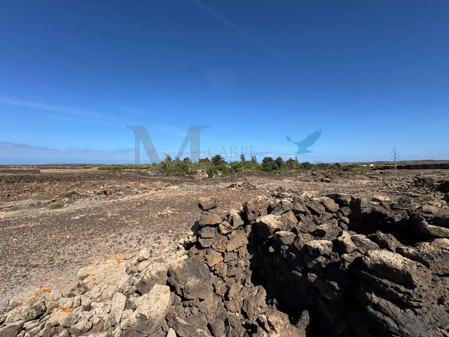 Land for sale in La Oliva