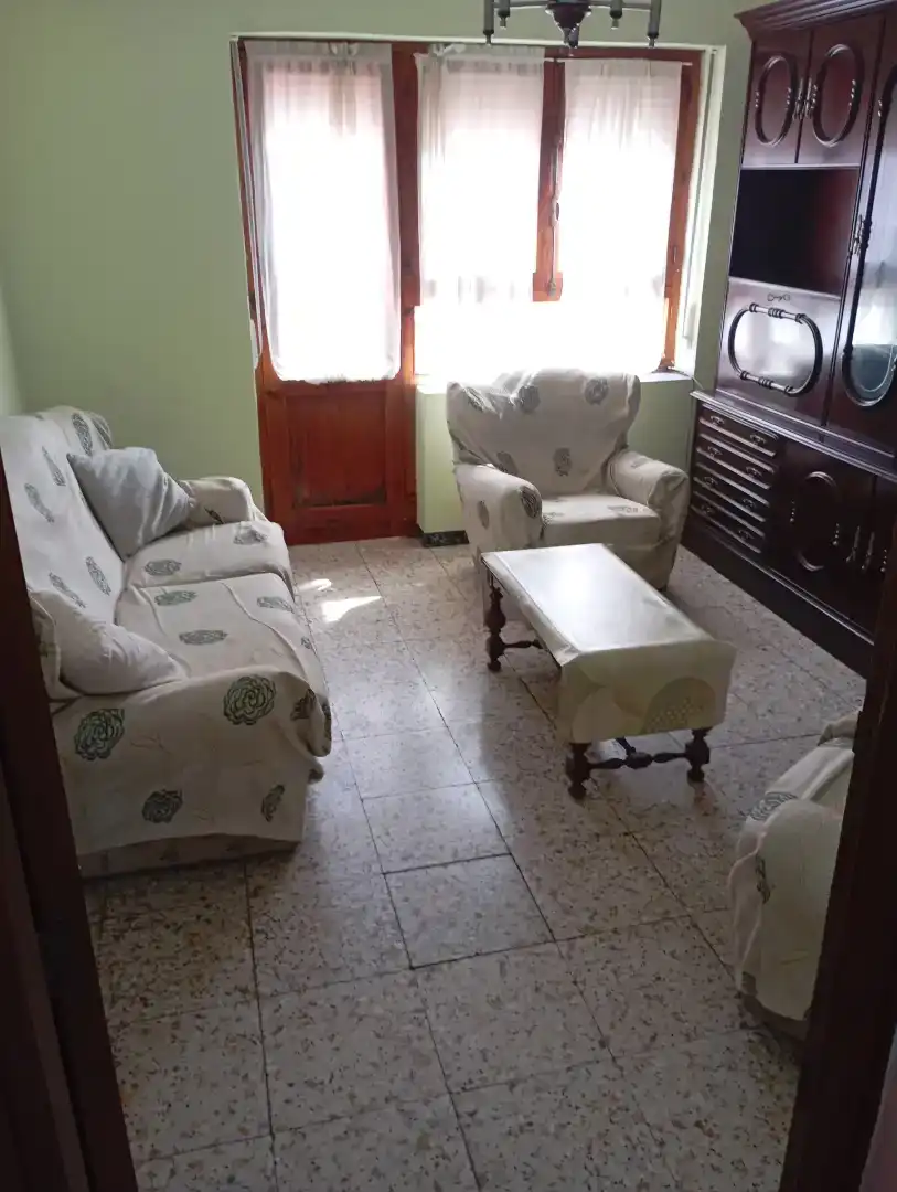 Wohnzimmer von Wohnung zur Miete in Benavides mit Waschmaschine, Mikrowelle und Fernseher