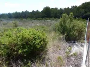 Residential land for sale in Coma-ruga platja, imagen 4