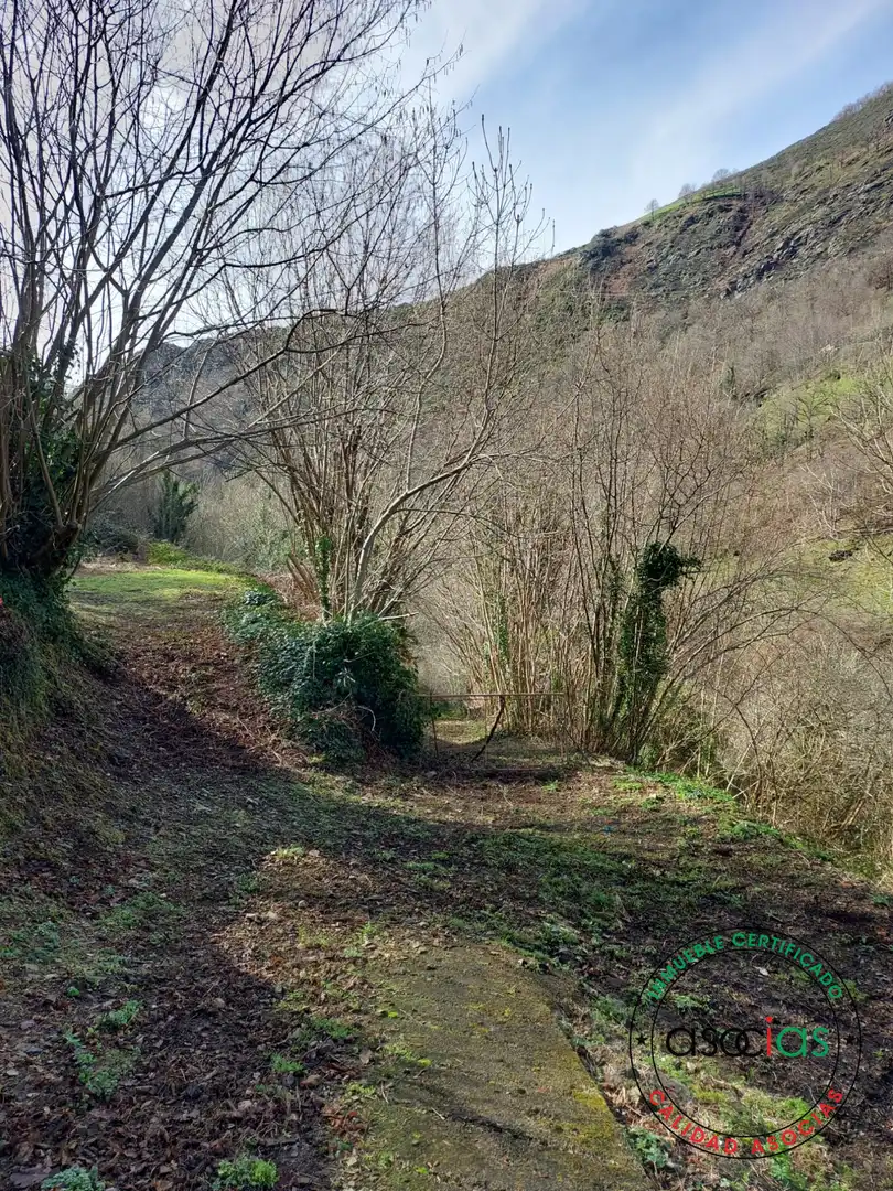 Haus mit Garten zum Verkauf in Cangas del Narcea - CS CIELLA, imagen 25