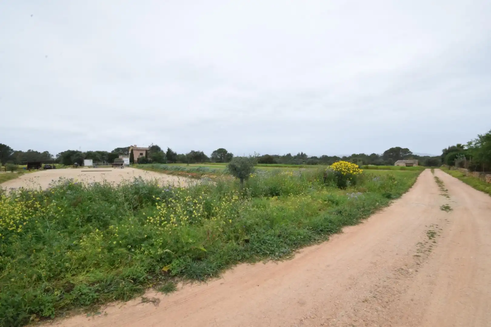 Residencial en venta en S'Aranjassa