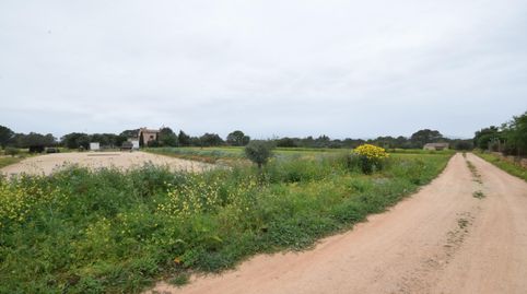 Photo 3 of Residential for sale in S'Aranjassa, Palma de Mallorca