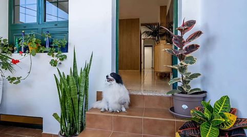 Foto 5 de Dúplex en venta en Uga, Yaiza
