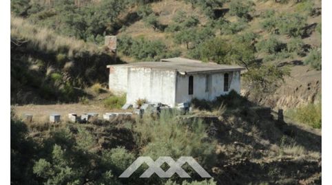 Una Finca grande con cortijo, imatge 3