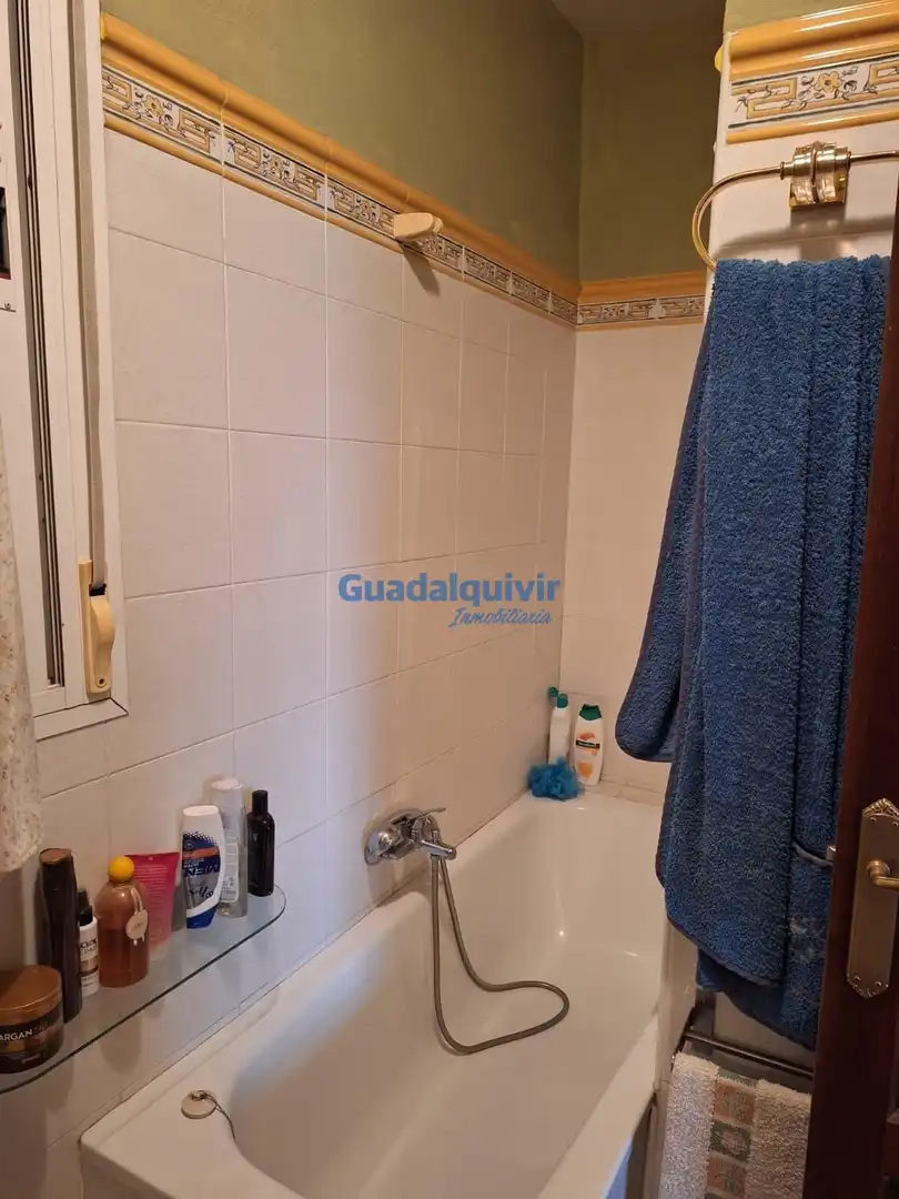 Bany de Casa o xalet en venda en Brenes amb Aire condicionat i Terrassa