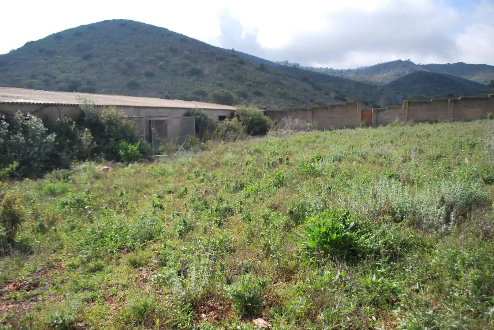 Lands and plots for sale in Diputación de Vizcaino, imagen 38