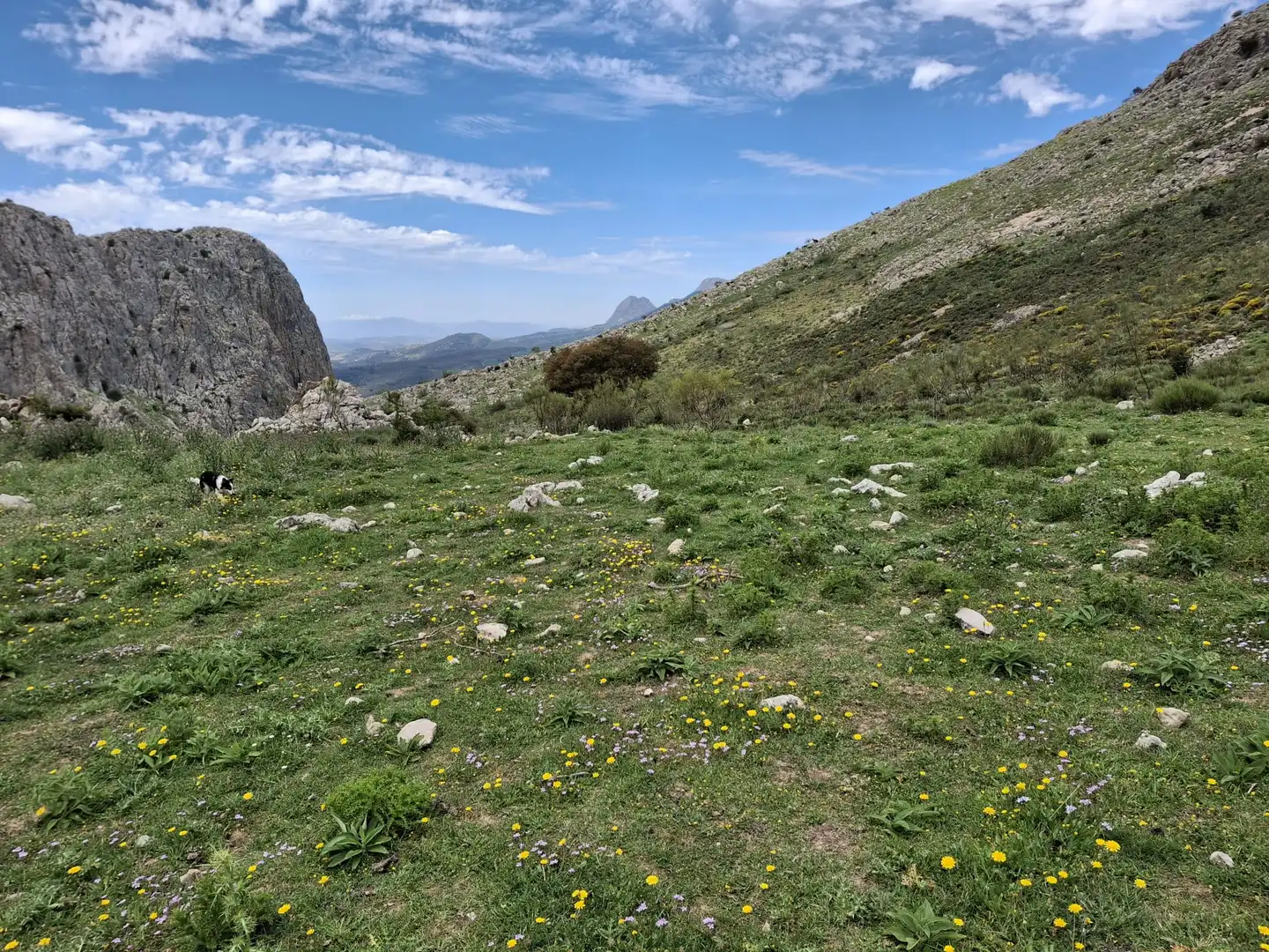 Terreni e lotti in vendita a Alfarnatejo, imagen 25