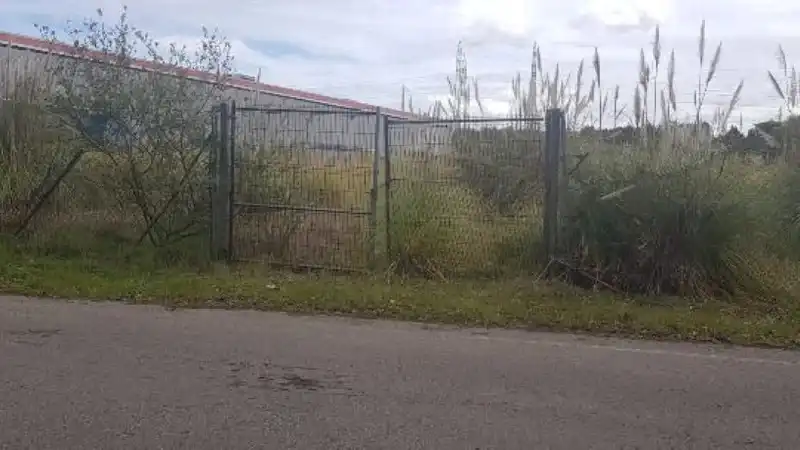 Residential land for sale in Pedrero, imagen 5
