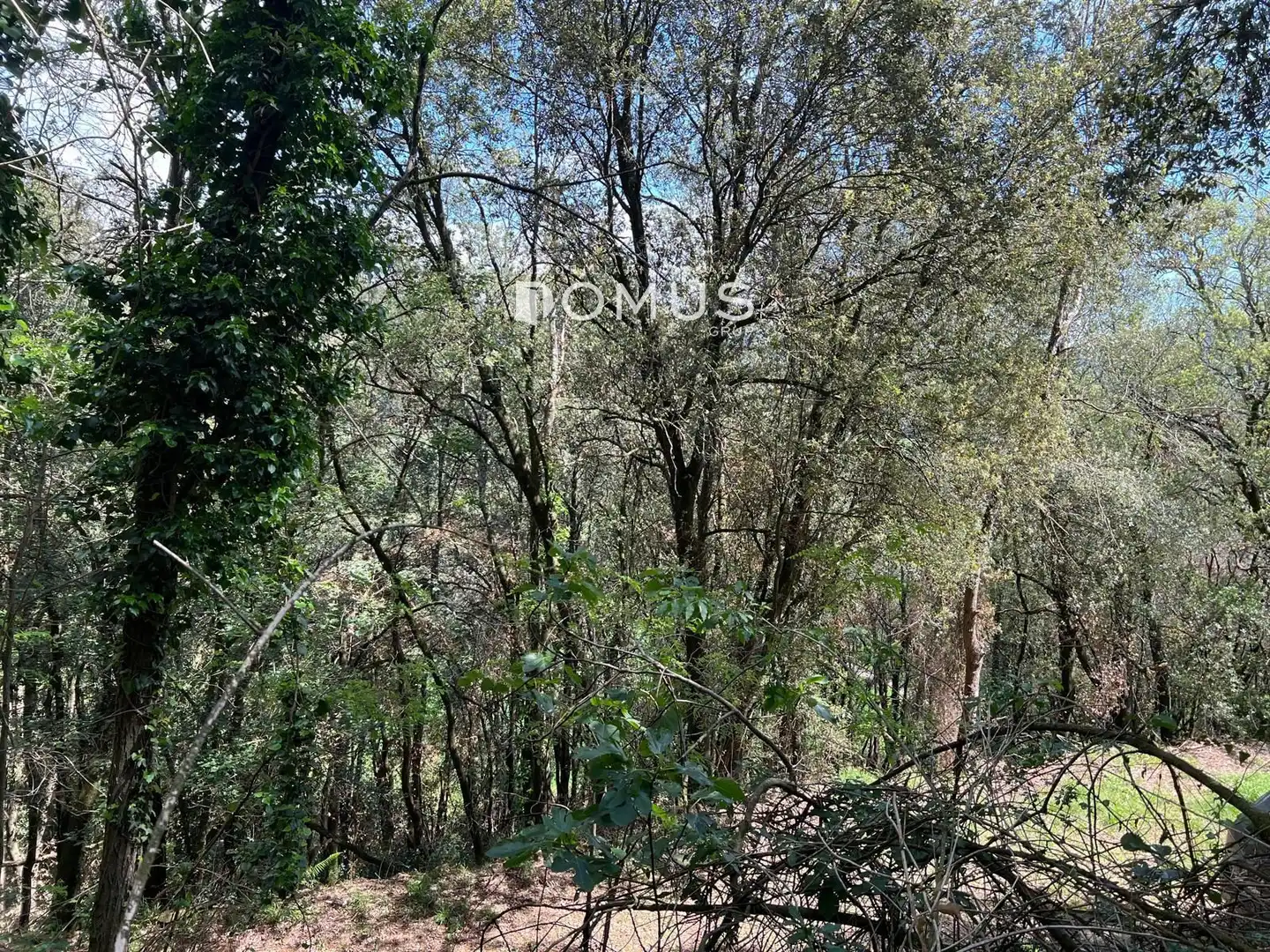 Finca rústica en venta en Sant Joan Les Fonts