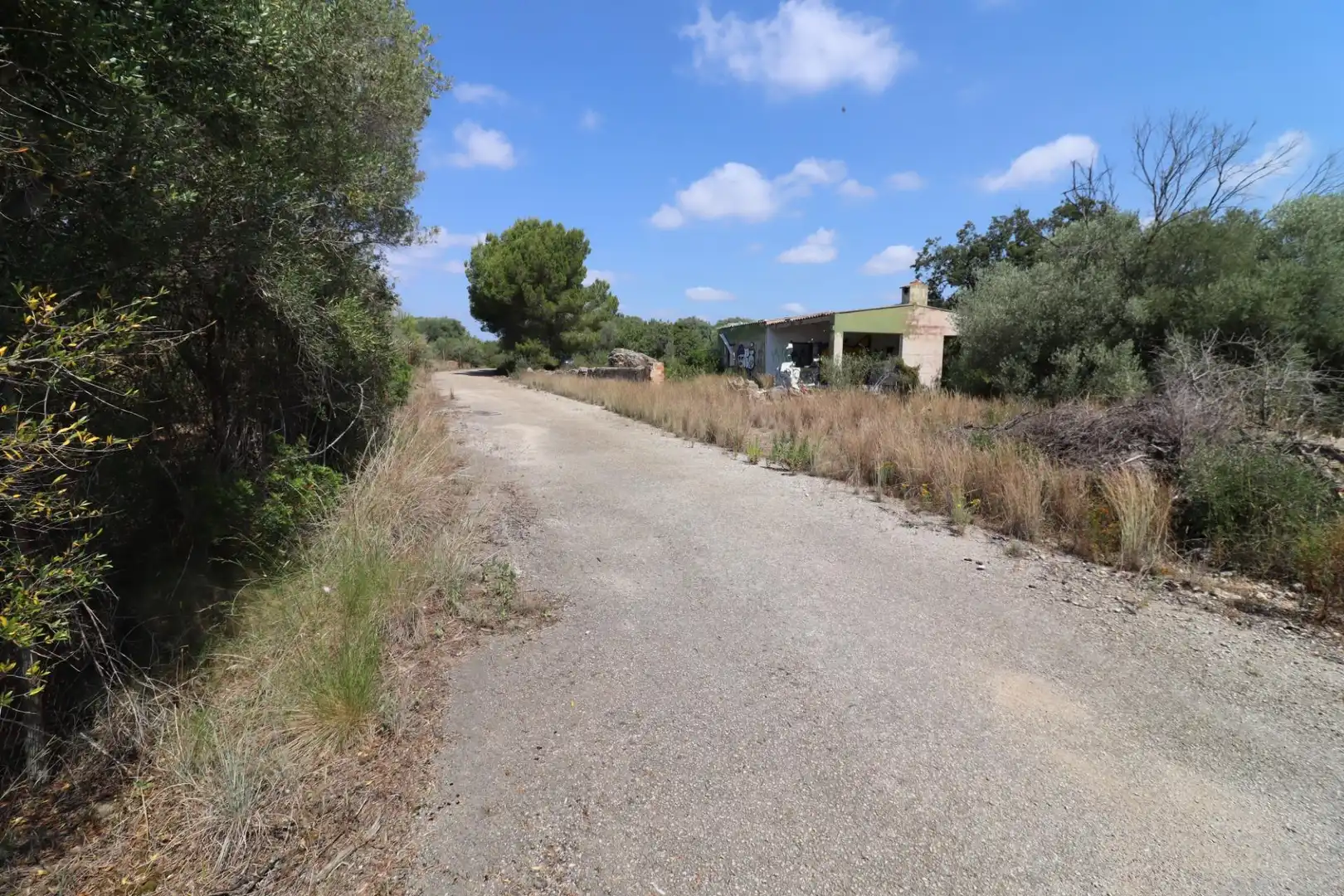 Terreno rústico en venta en San Jorge / Sant Jordi, imagen 21