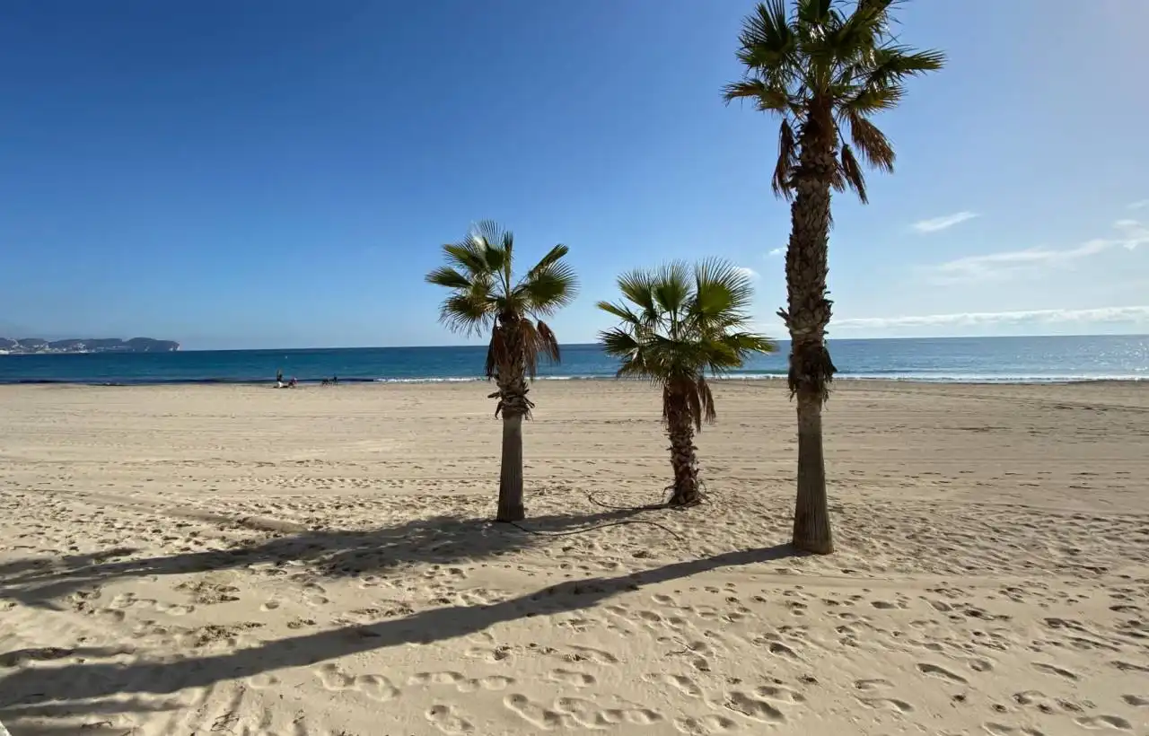 Mini appartamento con terrazza in vendita a Zona Levante - Playa Fossa, imagen 16