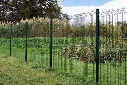 Terreno rústico en venta en Cieza, imagen 6
