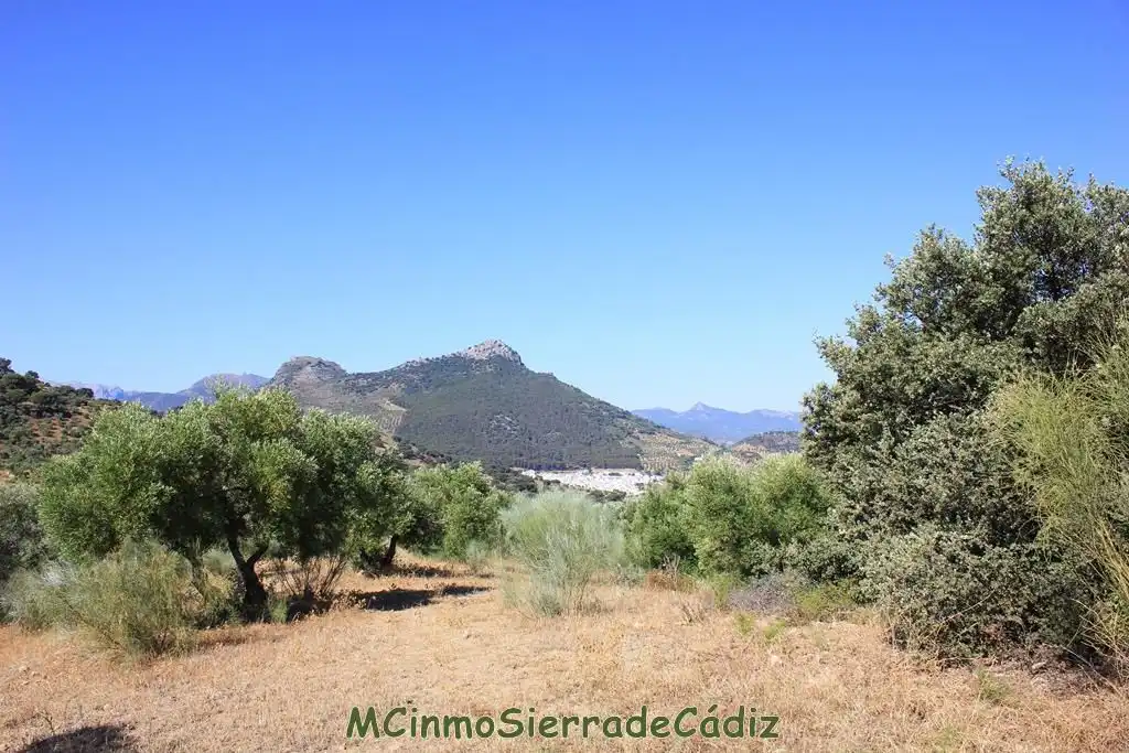 Finca rústica en venta en Montecorto