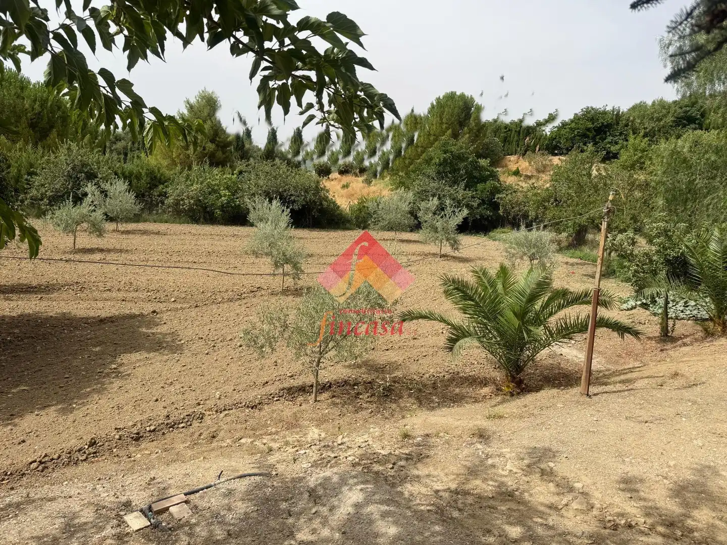 Finca rústica en venda en Ronda amb Traster