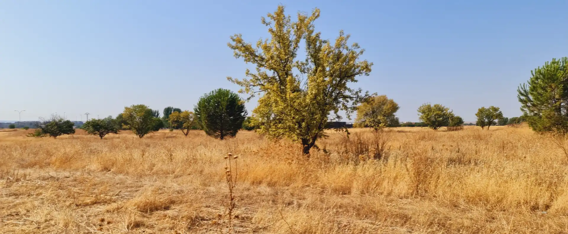 Terreno en venta en Torrejón de Ardoz
