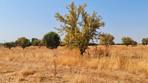 Photo 2 of Land for sale in N/a, Base Aérea, Madrid