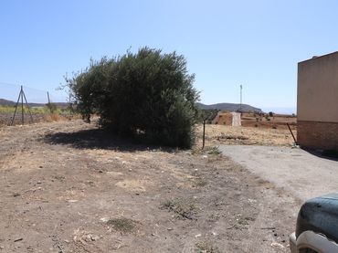 Terrain rustique à vendre à Calle Mariana Pineda 62
