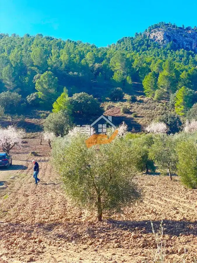 Casa rústica en venda a Vélez-Rubio, imagen 11