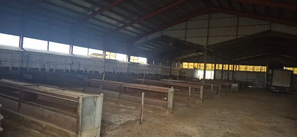 Industrial buildings for sale in Minaya