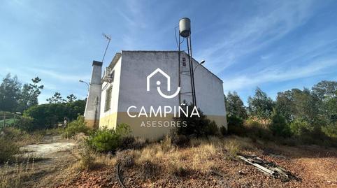 Foto 4 de Finca rústica en venda a Sapu Los Pinos Puente, Beas, Huelva