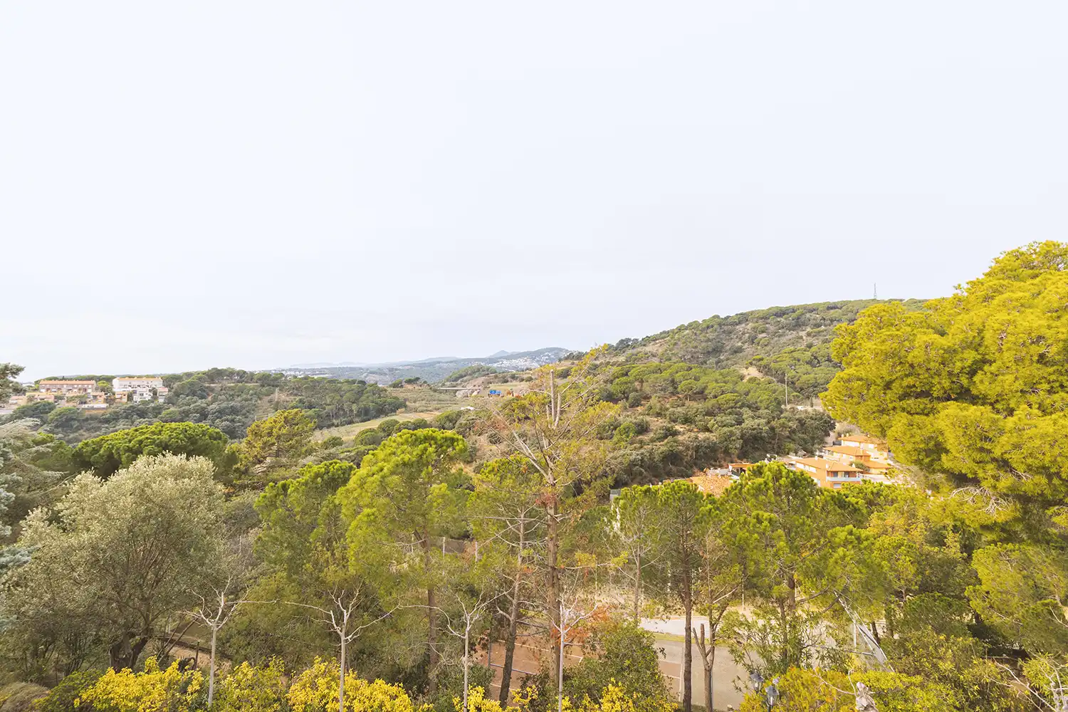 Casa o xalet en venda en Sant Pol de Mar amb Calefacció, Jardí privat i Terrassa