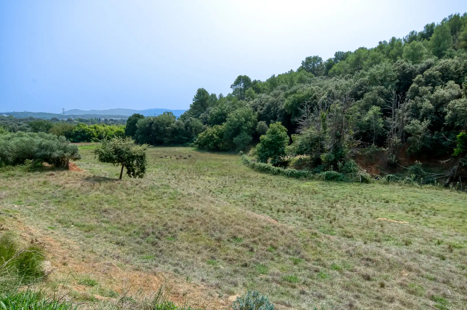 Xalet amb piscina en venda a Sant Gregori, imagen 45