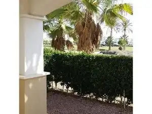 Vista exterior de Casa o chalet en venta en Torre-Pacheco con Jardín privado y Piscina